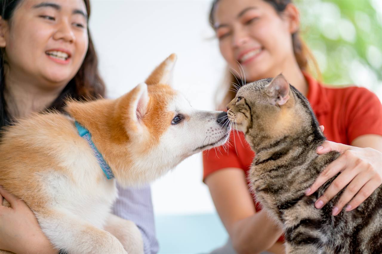 Deux personnes souriantes tenant un chat et un chien, illustrant l'assurance santé pour animaux